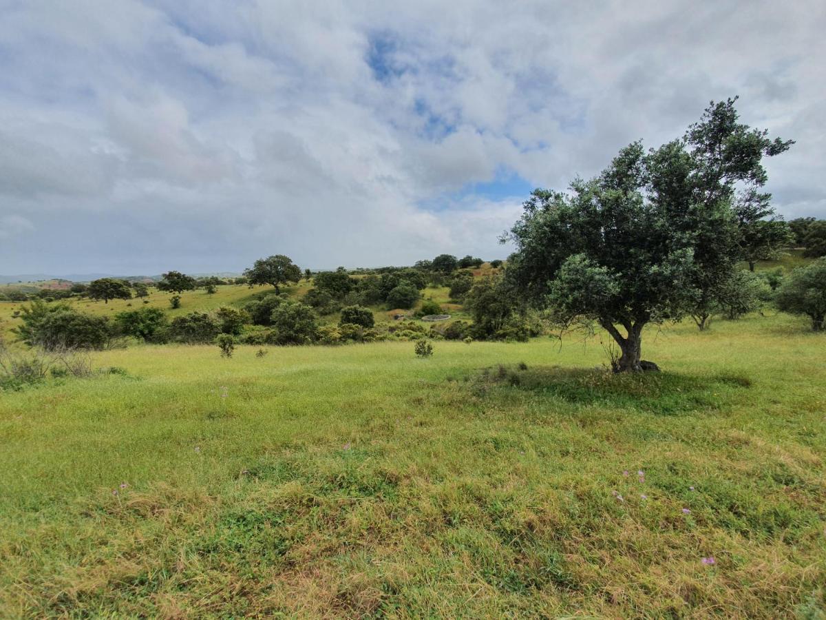 Monte Da Clareira - Comporta Carvalhal Melides Διαμέρισμα Grândola Εξωτερικό φωτογραφία