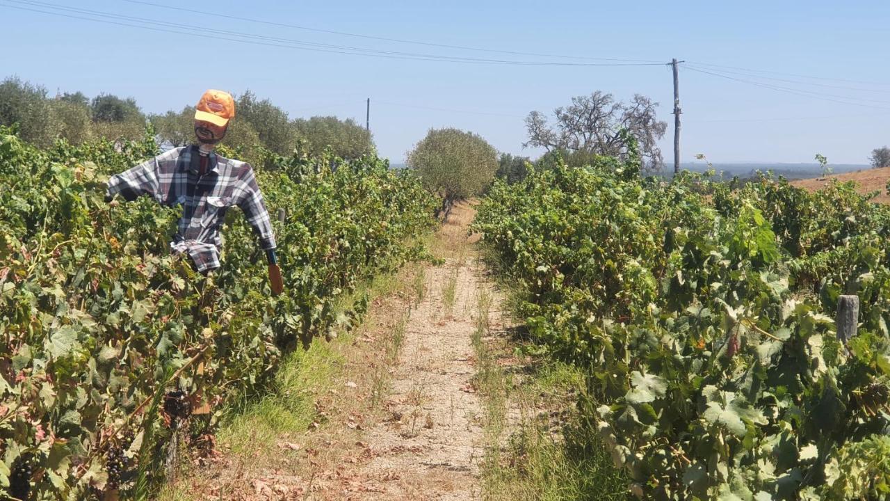 Monte Da Clareira - Comporta Carvalhal Melides Διαμέρισμα Grândola Εξωτερικό φωτογραφία