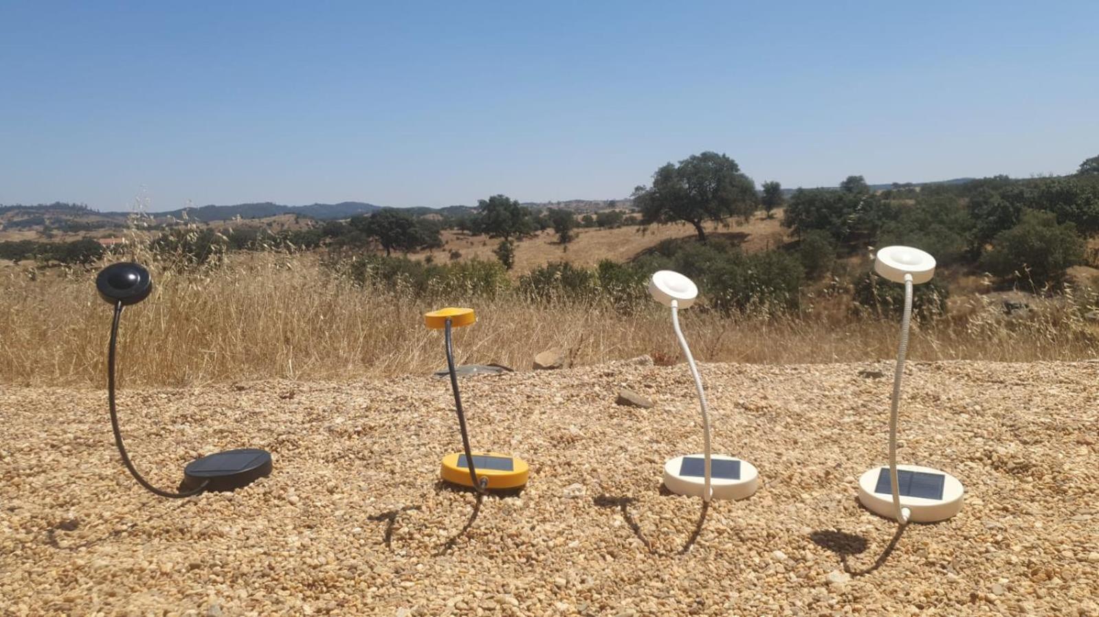 Monte Da Clareira - Comporta Carvalhal Melides Διαμέρισμα Grândola Εξωτερικό φωτογραφία