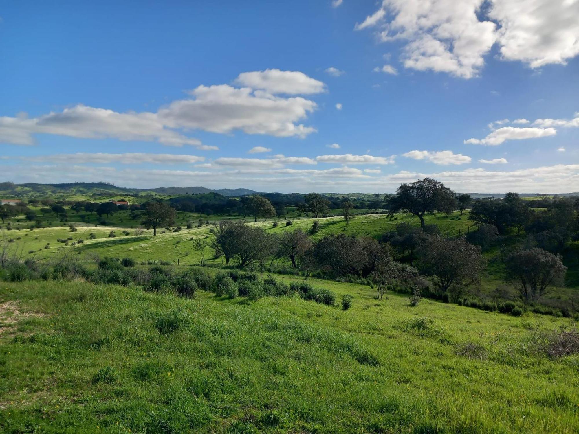 Monte Da Clareira - Comporta Carvalhal Melides Διαμέρισμα Grândola Εξωτερικό φωτογραφία