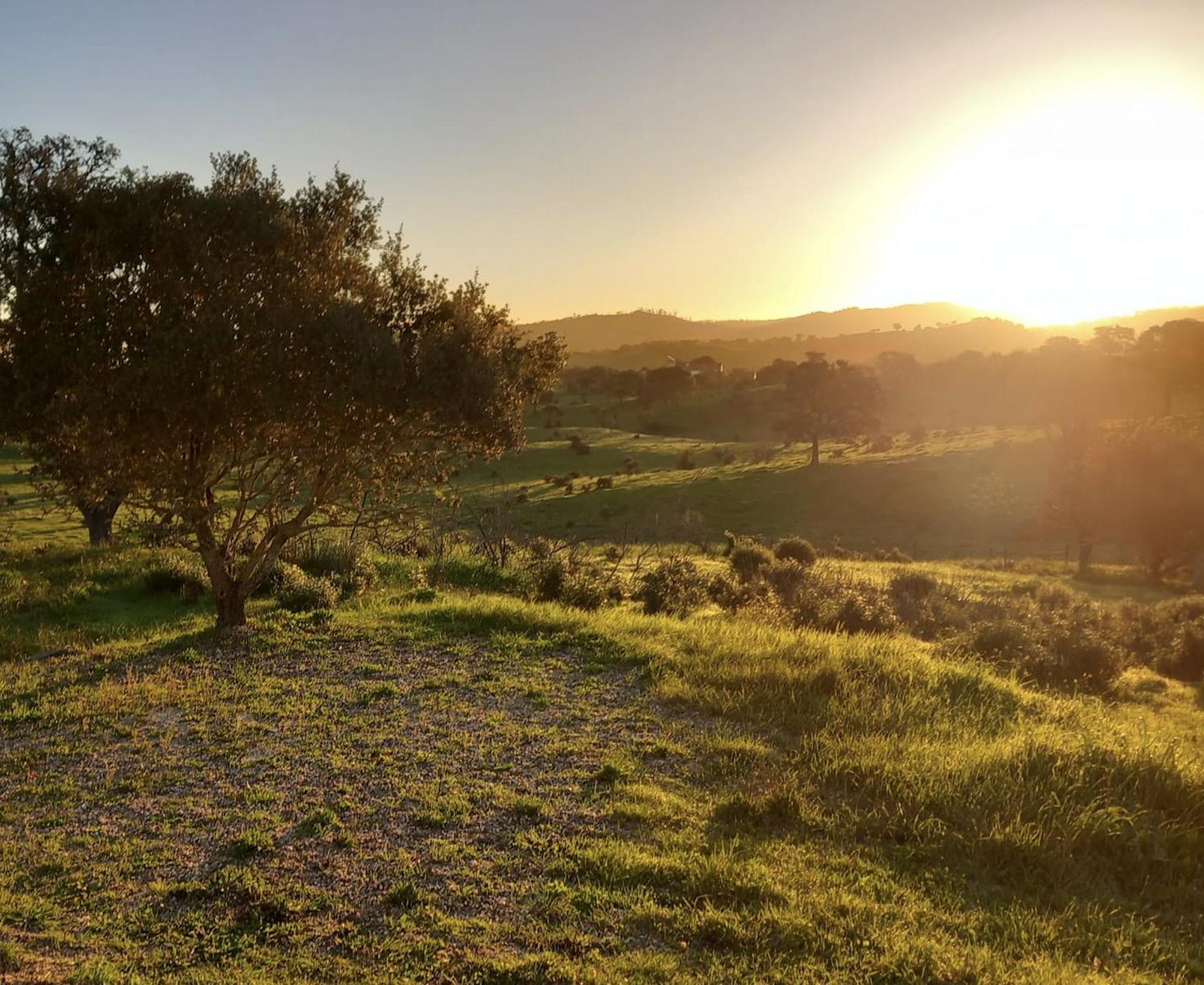 Monte Da Clareira - Comporta Carvalhal Melides Διαμέρισμα Grândola Εξωτερικό φωτογραφία