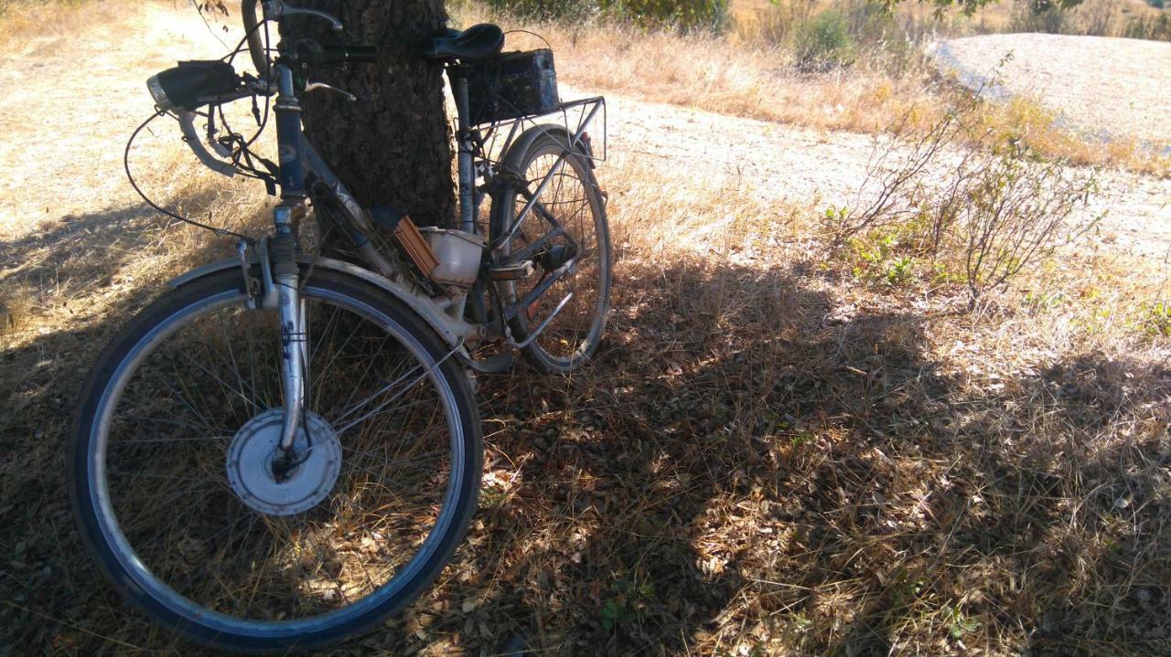 Monte Da Clareira - Comporta Carvalhal Melides Διαμέρισμα Grândola Εξωτερικό φωτογραφία