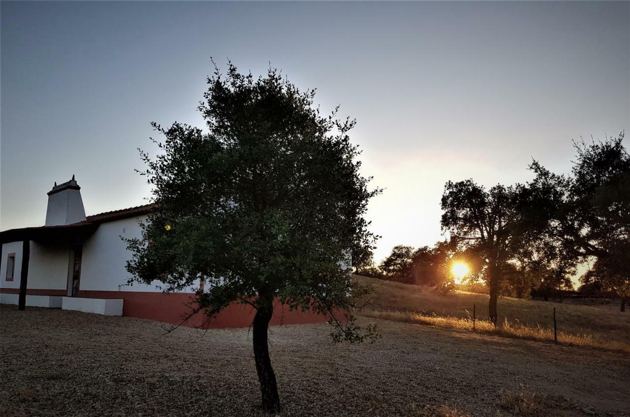 Monte Da Clareira - Comporta Carvalhal Melides Διαμέρισμα Grândola Εξωτερικό φωτογραφία